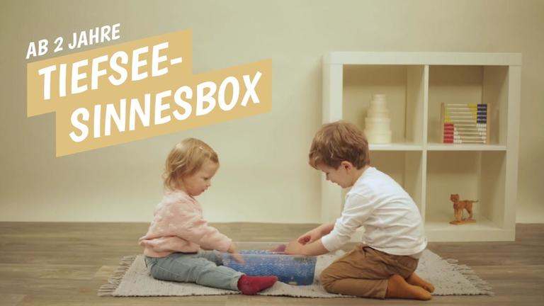 Tiefsee-Sinnesbox