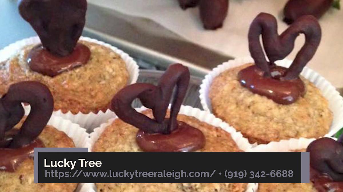 Coffee Shop in Raleigh NC, Lucky Tree