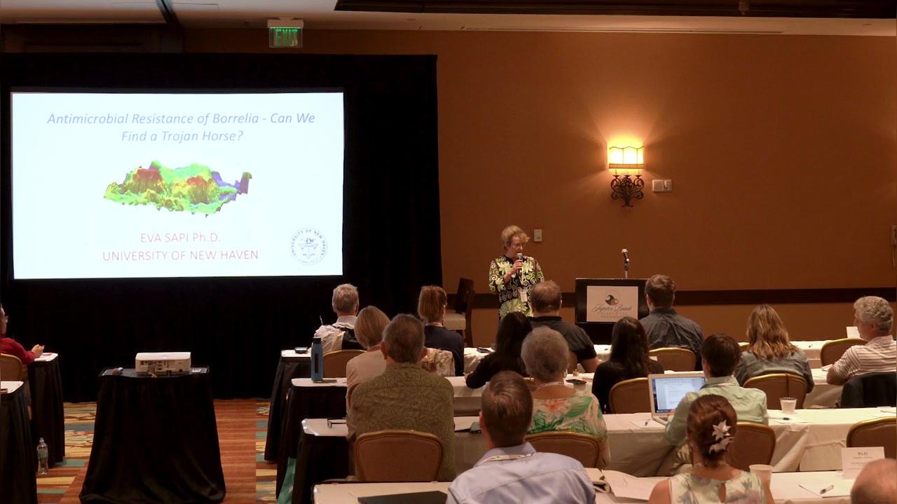 Dr. Sapi Conference