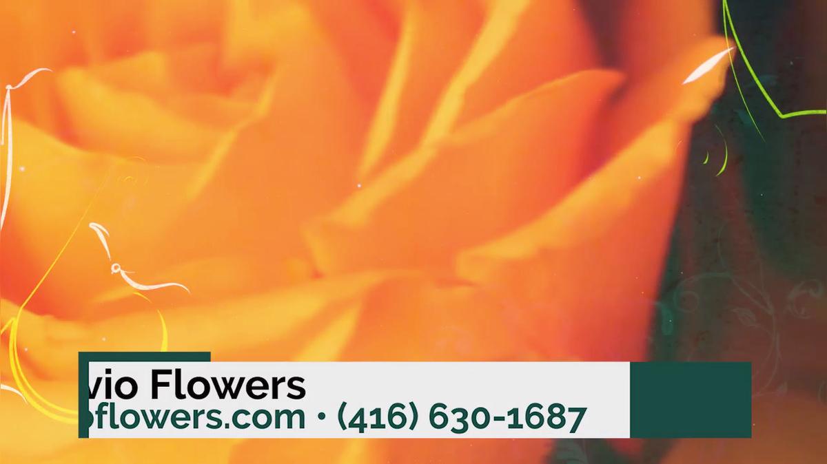 Flower Shop in North York ON, Avio Flowers