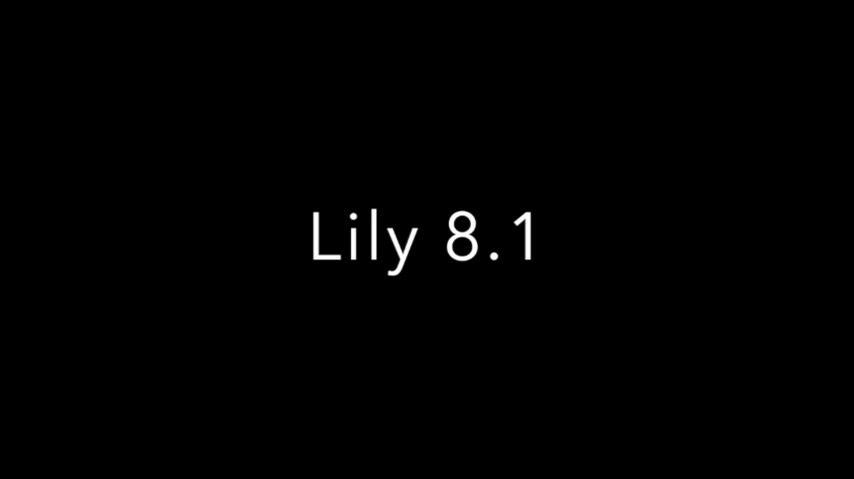 Libro 8