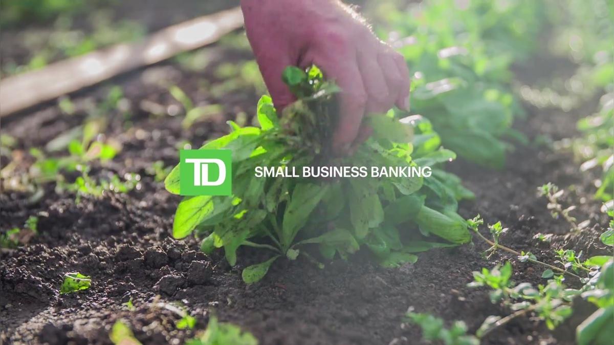 SBB Strategy Video