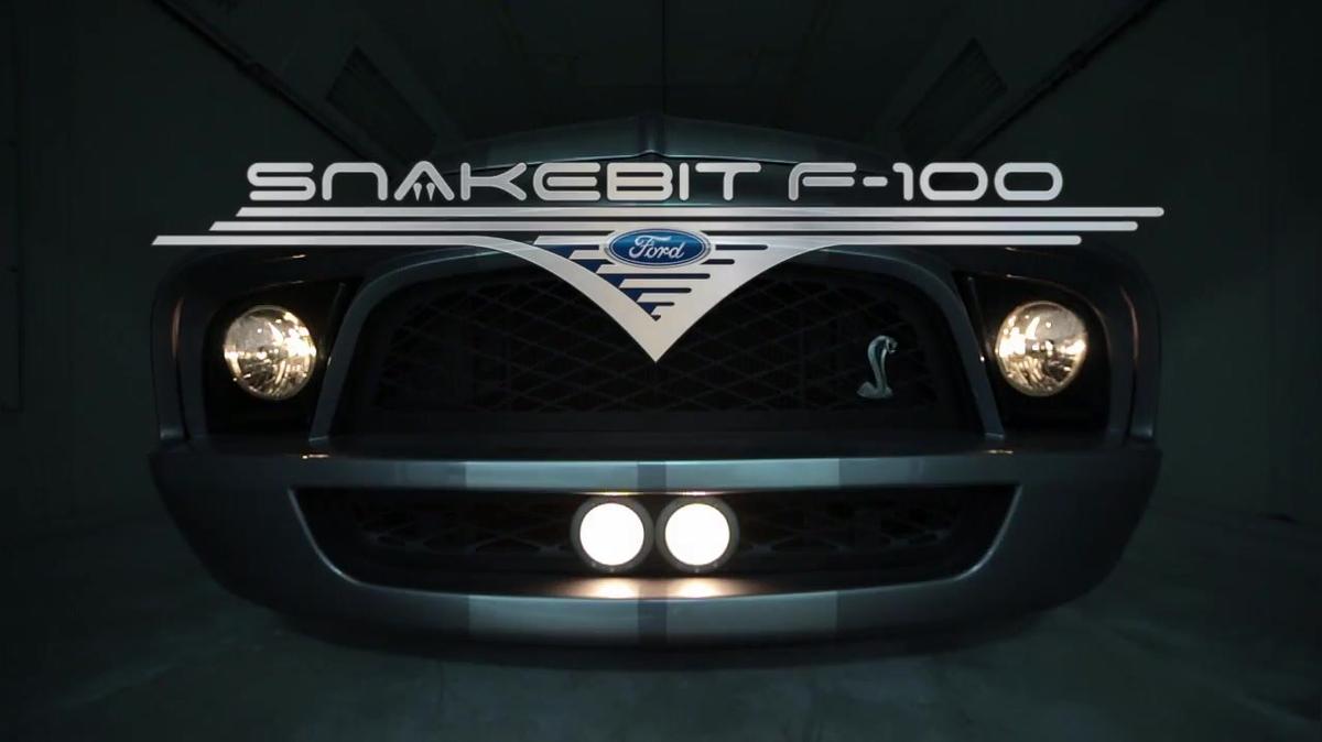 Snakebit F-100