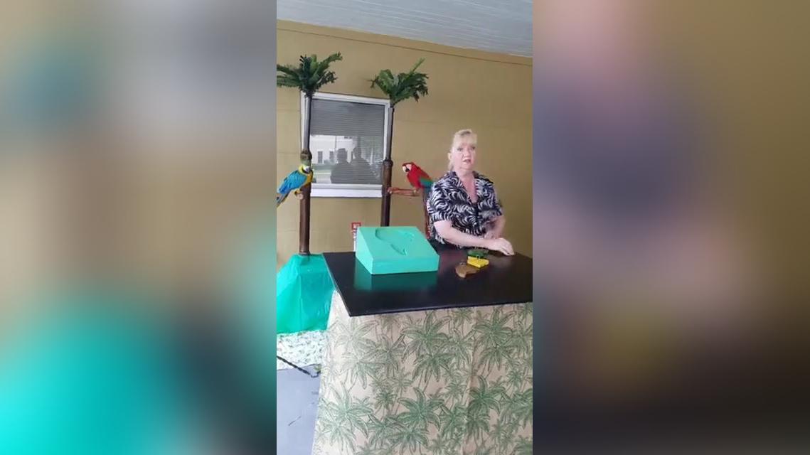 Birds VB M.O. (4).mp4