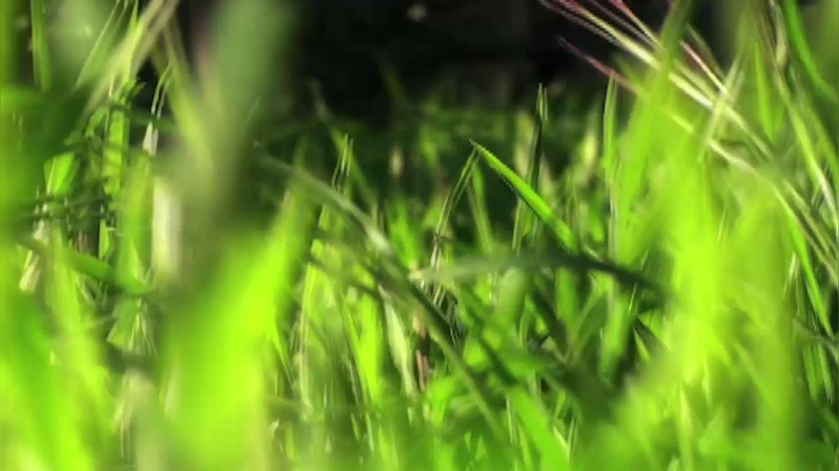 Water Well Pumps in DeLand FL, Blackwelder Pump & Irrigation