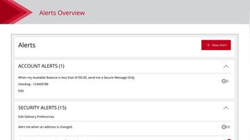 Alerts Overview