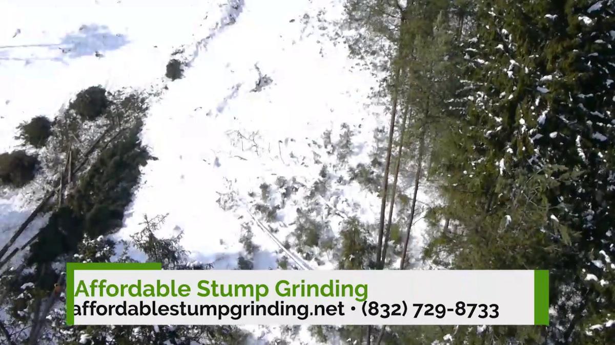 Stump Removal in Conroe TX, Affordable Stump Grinding