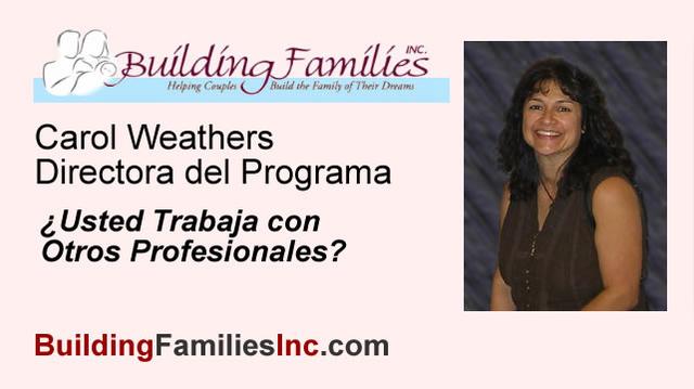 Do you work with Other Professionals? - SPANISH