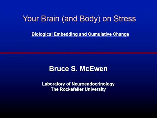 Your Brain (and Body) on Stress: Biological Embedding, and Cumulative Change