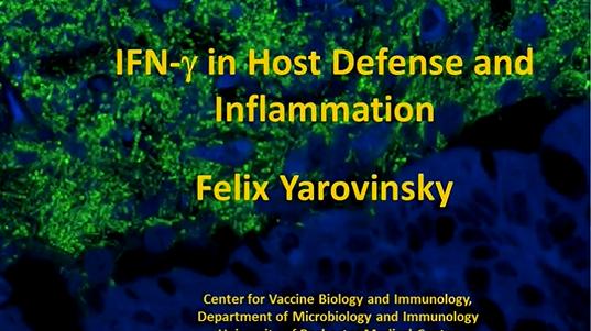 Type I Immune Response in Host Defense and Inflammation