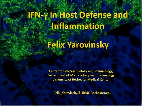 Type I Immune Response in Host Defense and Inflammation