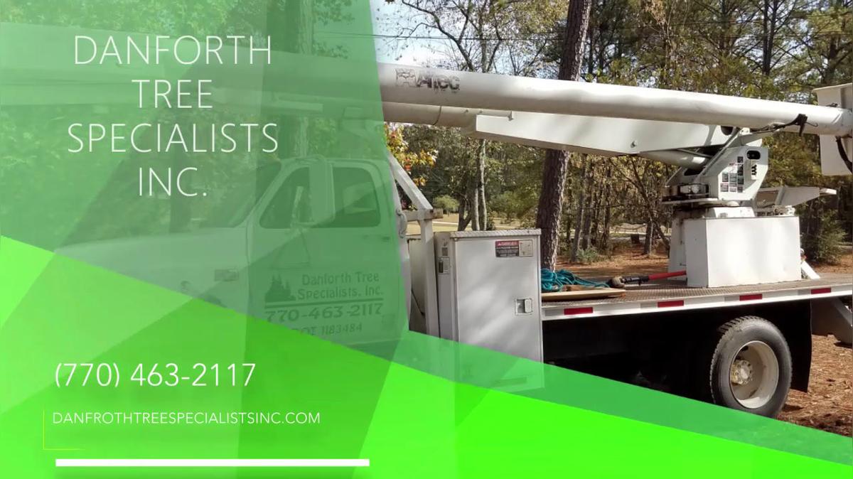 Tree Services in Palmetto GA, Danforth Tree Specialists Inc.