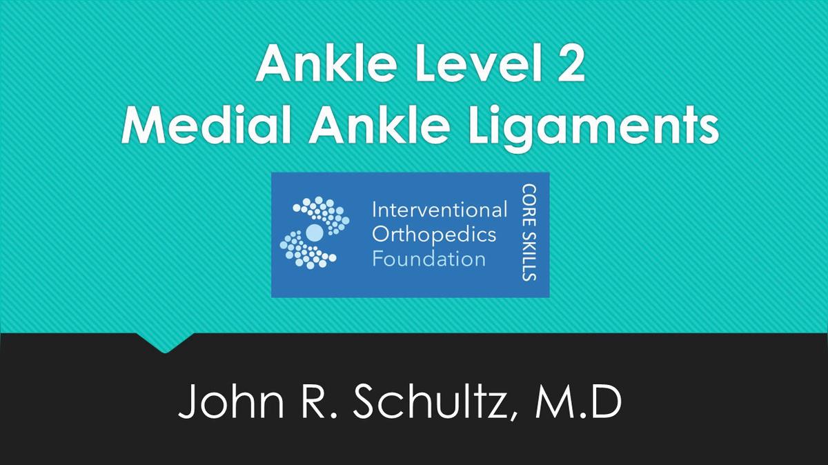 2018.AF.2.Advanced.Medial Deltoid Ankle Ligaments under US.mp4