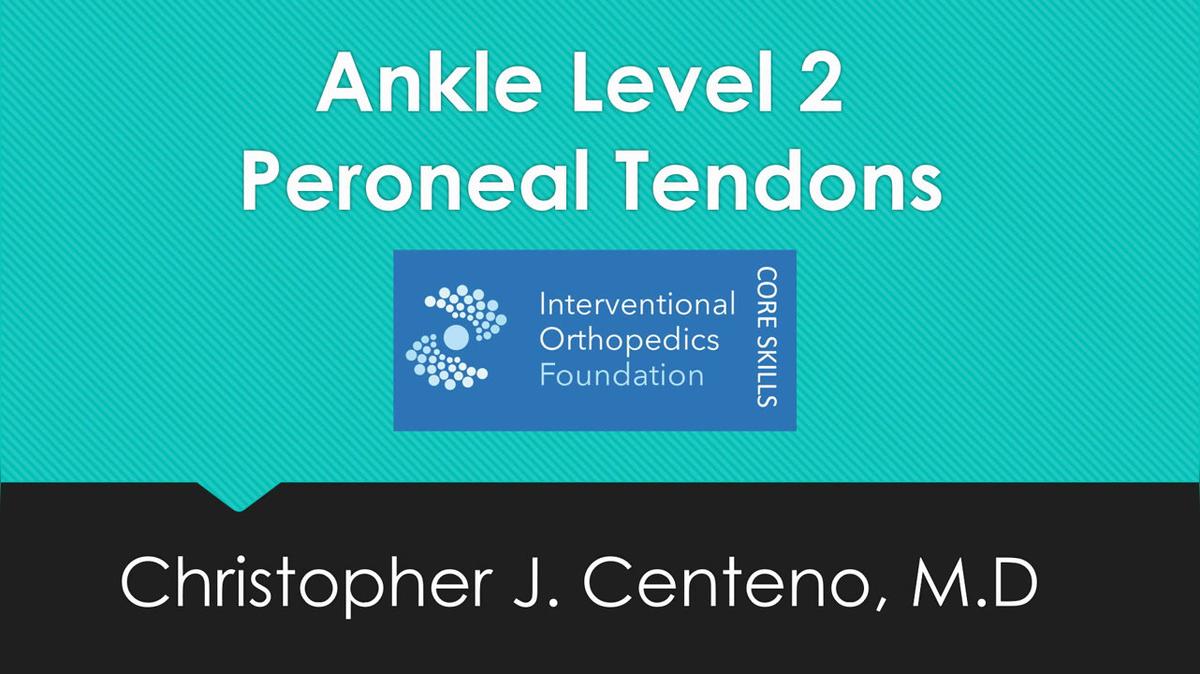 2018.AF.2.Basic.Lateral Peroneal (Longus and Brevis) Tendons under US.mp4