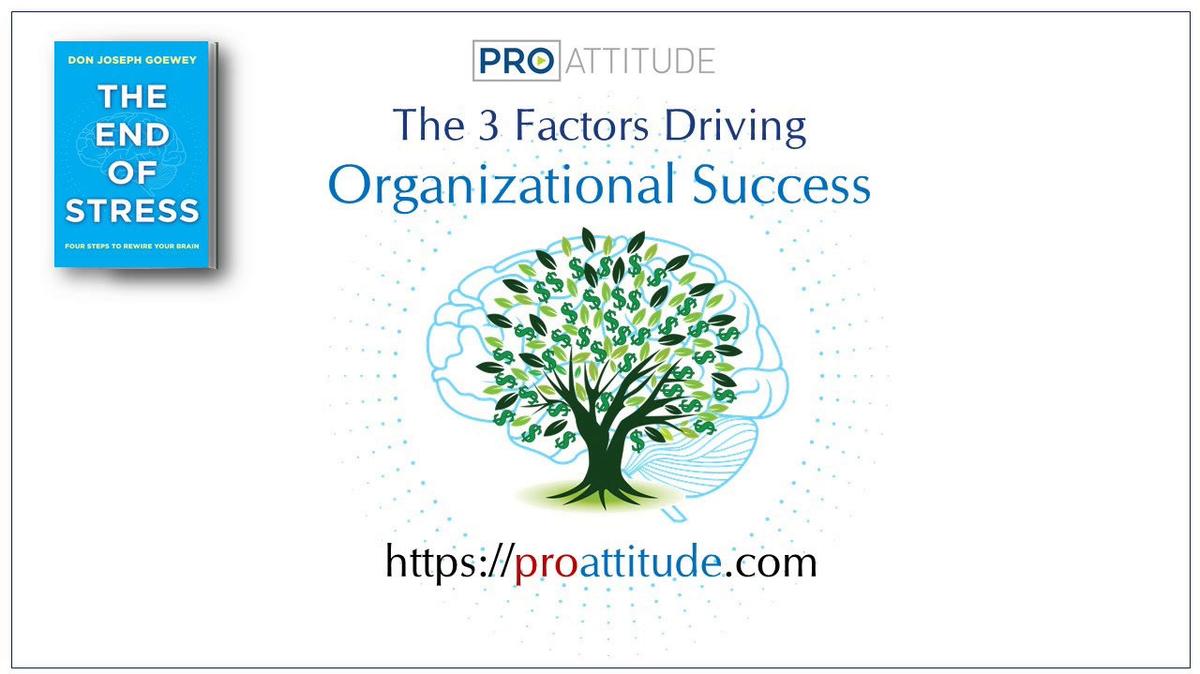 for-companies-the-three-factors-that-drive-organizational-success.mp4