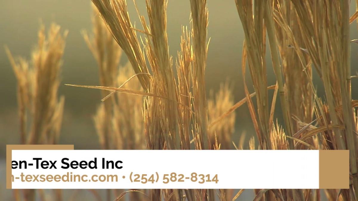 Wholesale Grains in Hillsboro TX, Cen-Tex Seed Inc