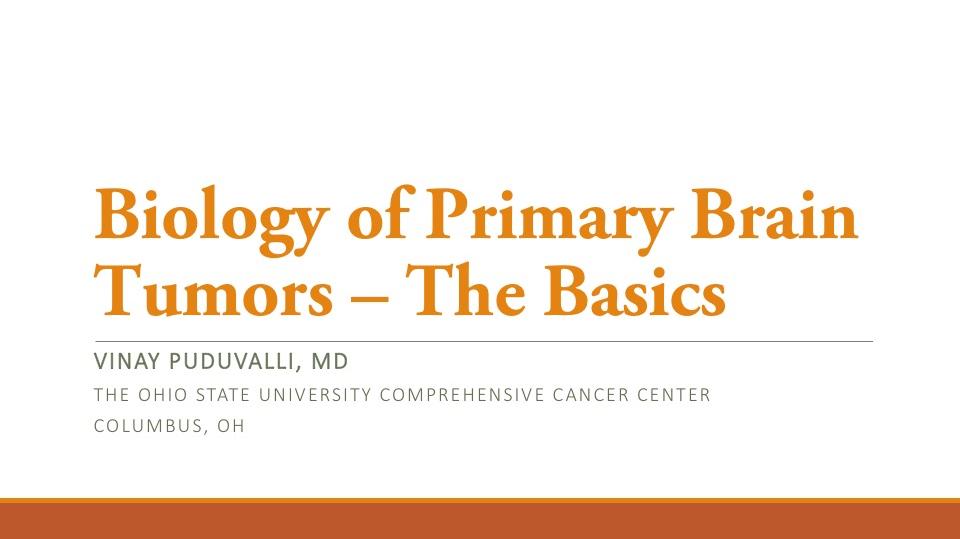 Biology of Primary Brain Tumors - the Basics