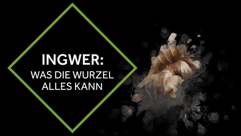 Ingwer - Was die Wurzel alles kann