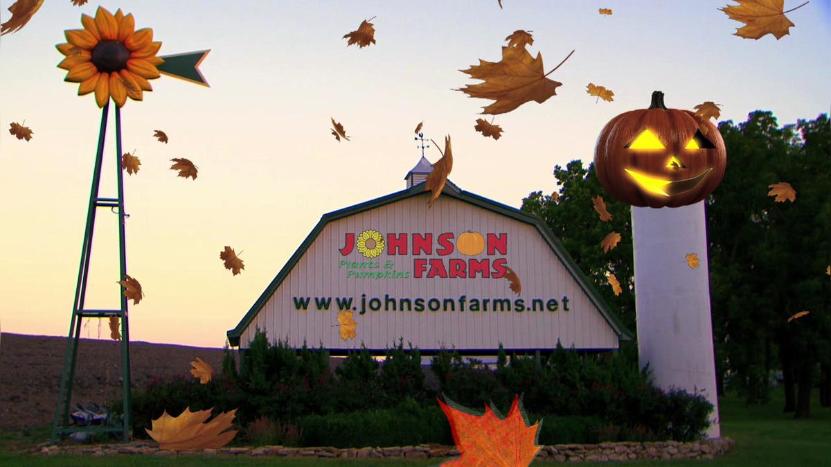 Johnson Pumpkin Farm #3 (:15)