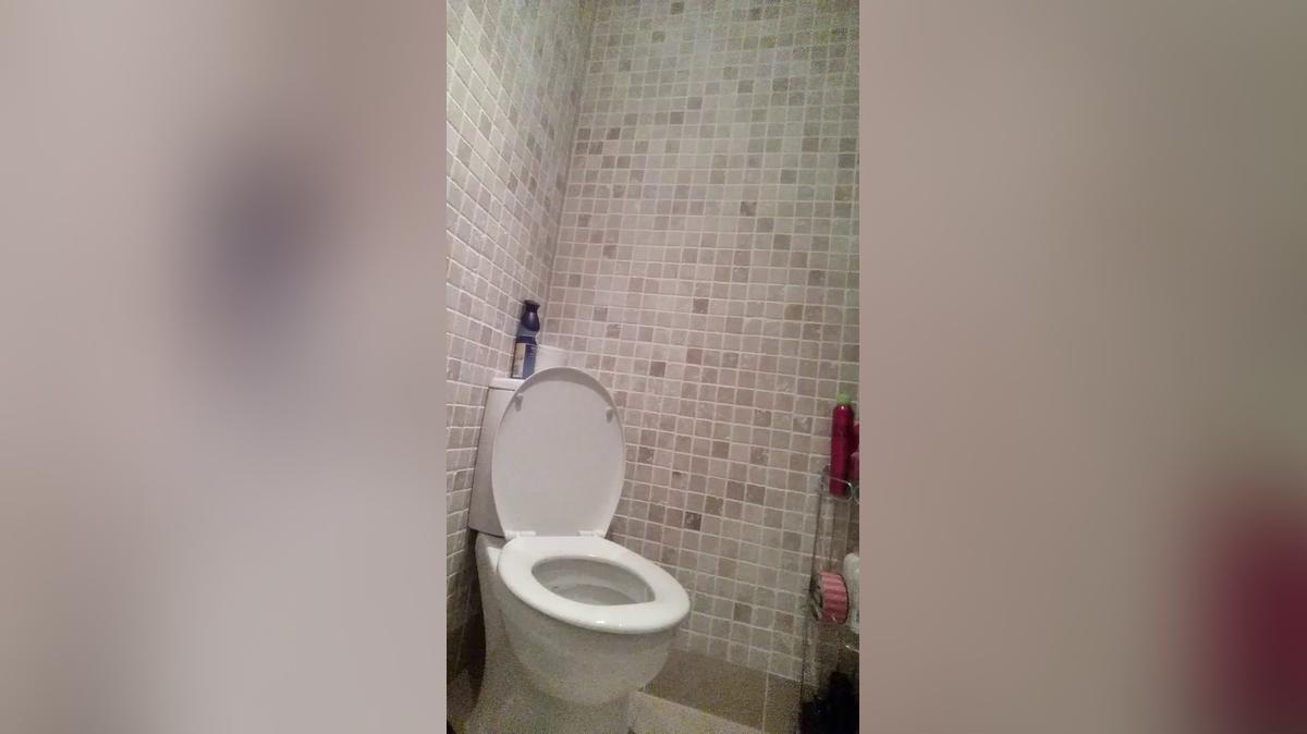 fulltoilet