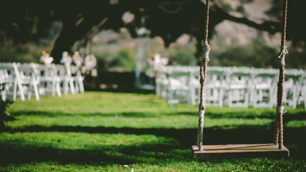 The Johansson-David Wedding