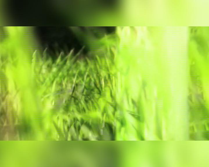 Landscaping Company in Pelham AL, SpyGrass Innovations