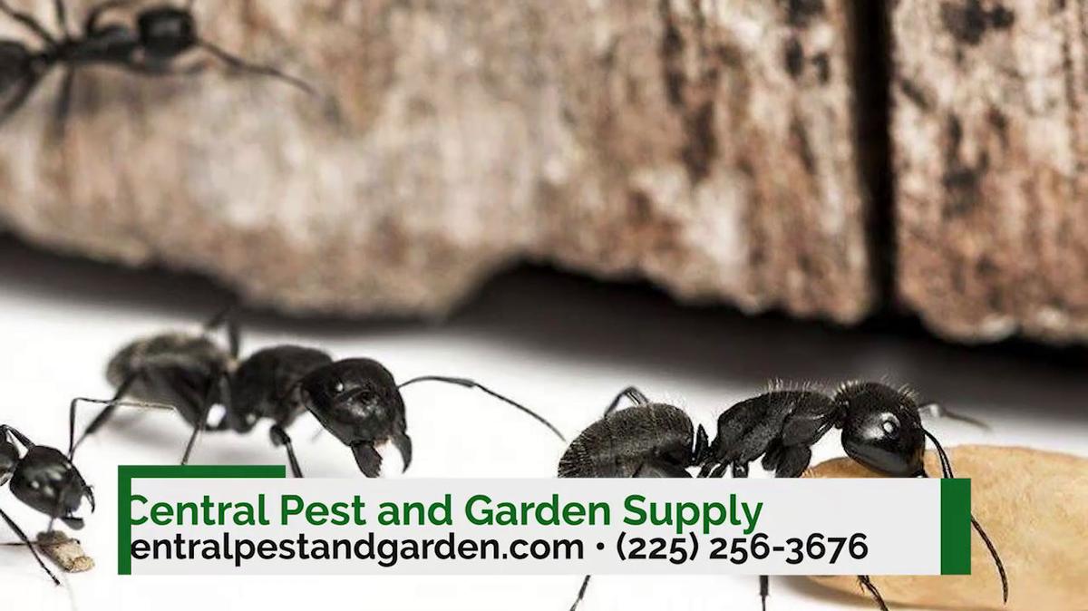 Pest Control in Baton Rouge LA, Central Pest and Garden Supply
