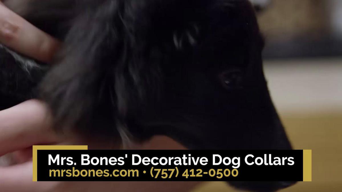 Custom Dog Collars in Virginia Beach VA, Mrs. Bones Decorative Dog Collars
