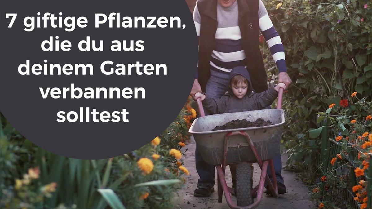 7 giftige Pflanzen, die du aus deinem Garten verbannen sollest
