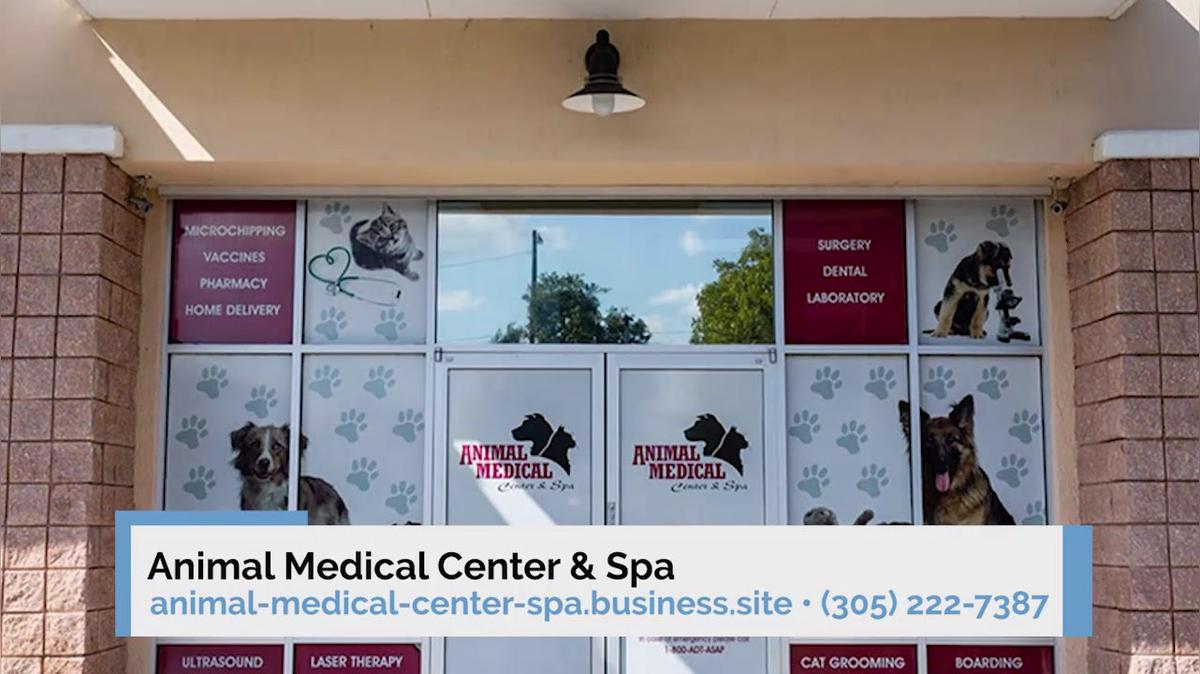 Veterinarian in Miami FL, Animal Medical Center &amp; Spa