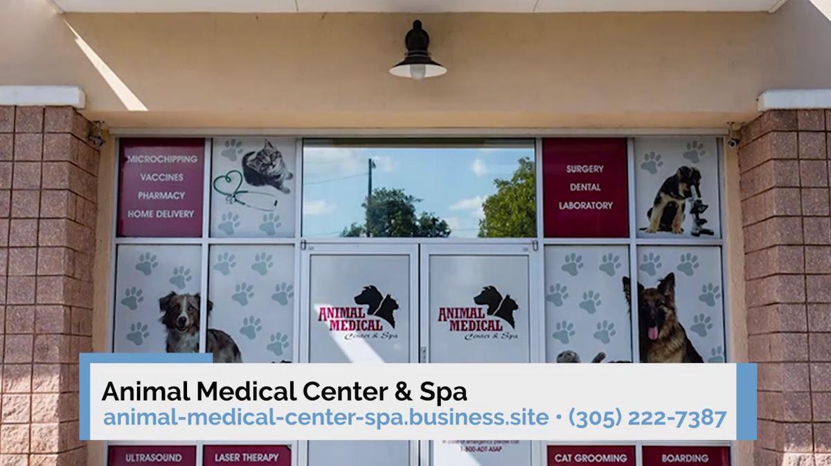 Veterinarian in Miami FL, Animal Medical Center & Spa