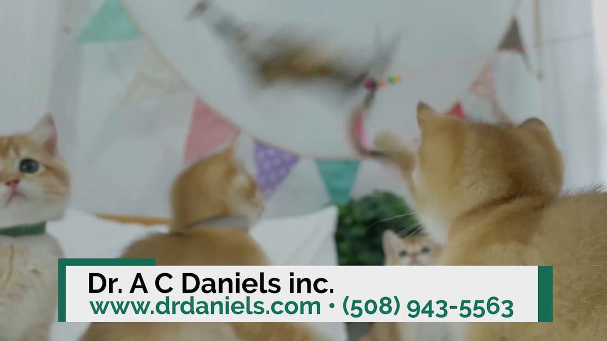 Manufacturer Pet Toys in Webster MA, Dr. A C Daniels inc.
