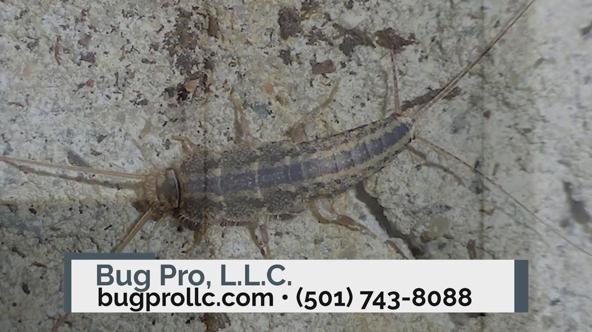 Pest Control in Jacksonville AR, Bug Pro, L.L.C.