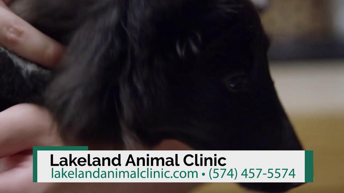 Animal Clinic in Syracuse IN, Lakeland Animal Clinic