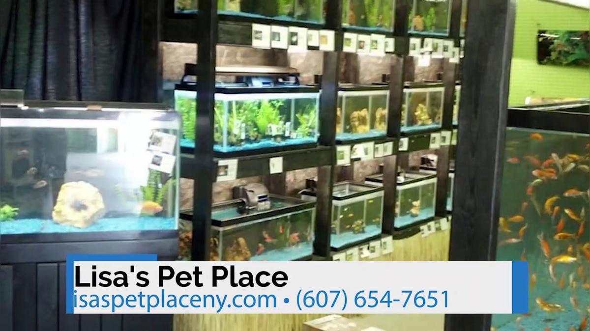 Pet Store in Painted Post NY, Lisa's Pet Place