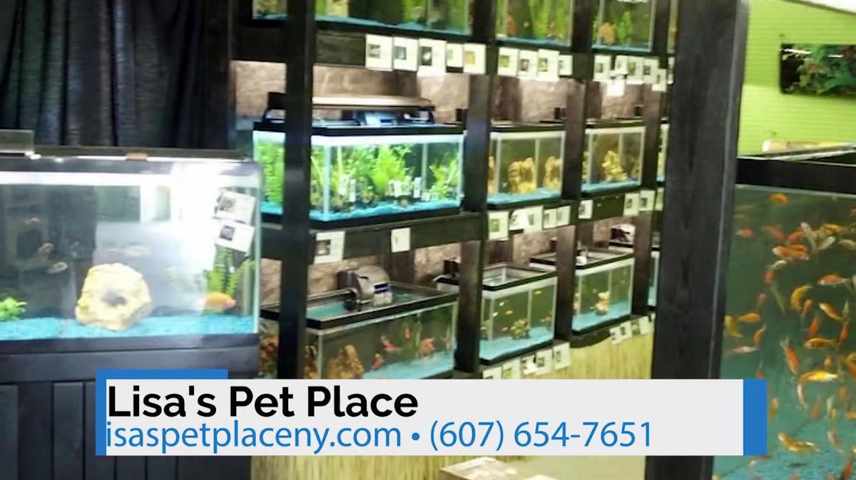 Pet Store in Painted Post NY, Lisa's Pet Place