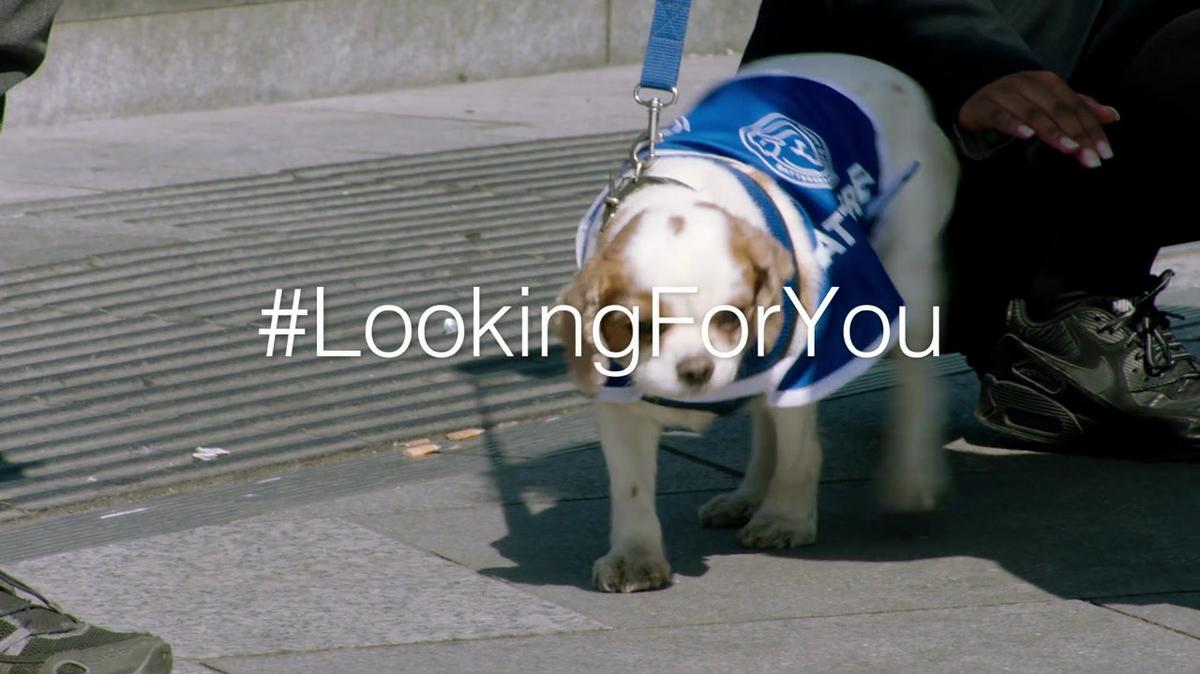 Looking For You - Blog Vid.mp4