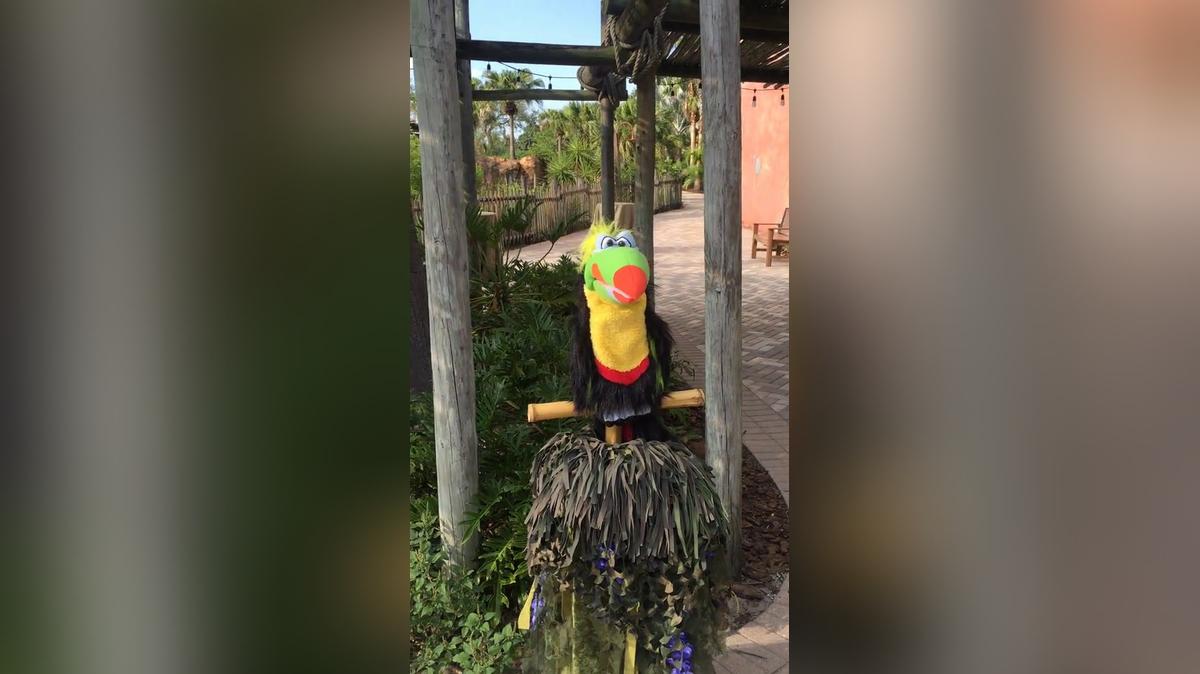 Breezin&#39;s Interactive Talking Toucan.mp4