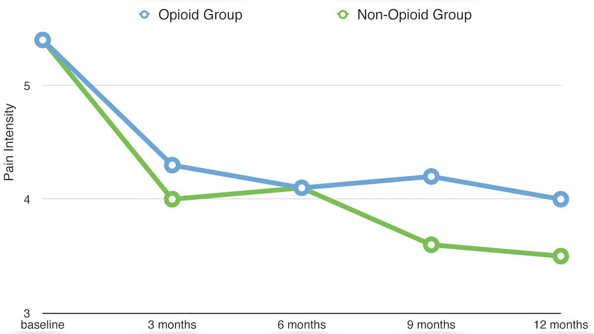 Opioids Fail Rigorous New Test for Chronic Pain