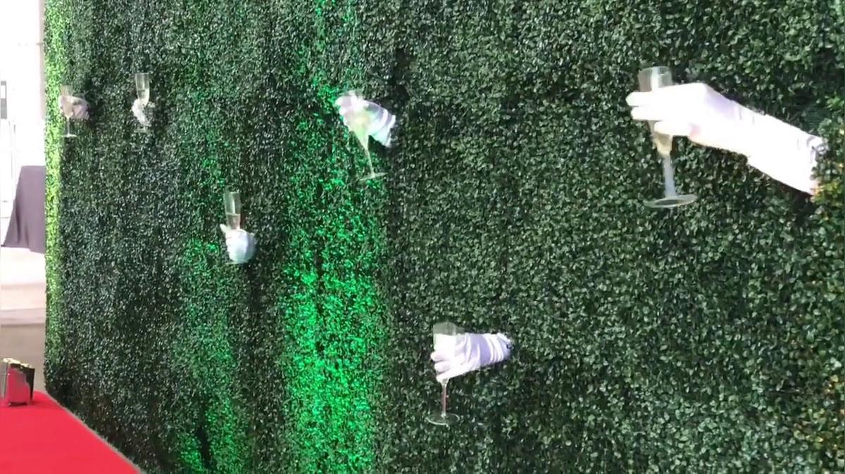 Living Champagne Wall.mp4