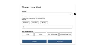 Account Alerts