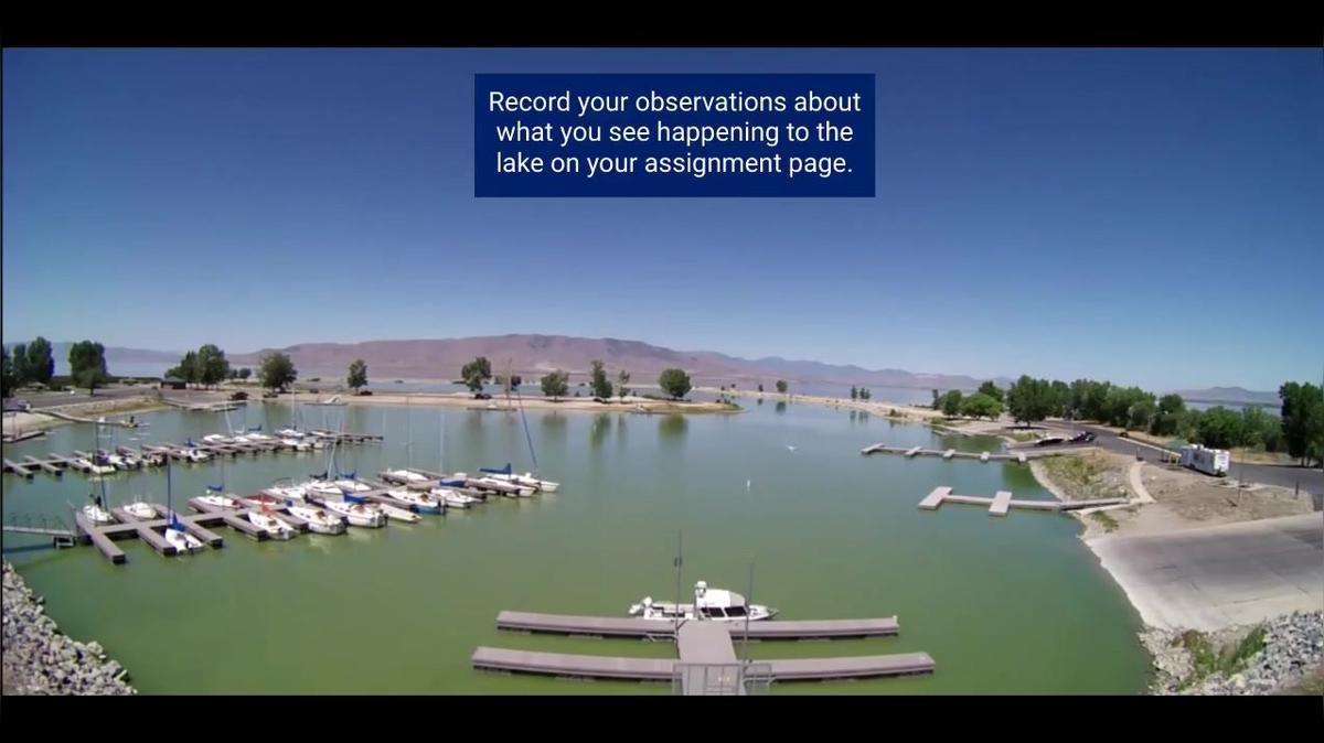 Andrew Shutterman Video