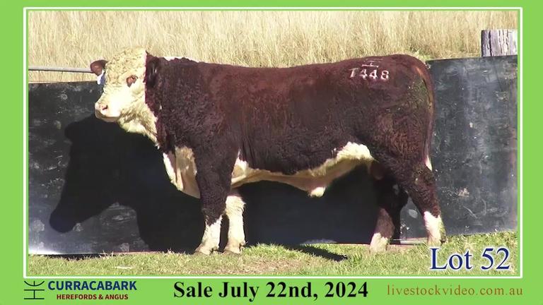 Lot 52