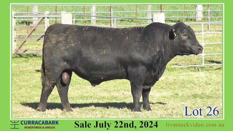 Lot 26