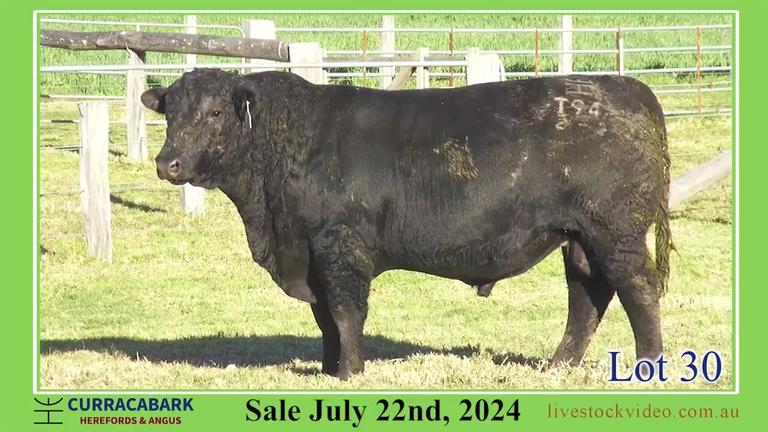 Lot 30