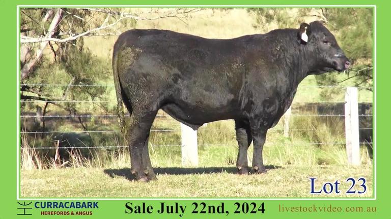 Lot 23