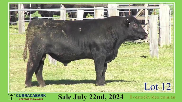 Lot 12