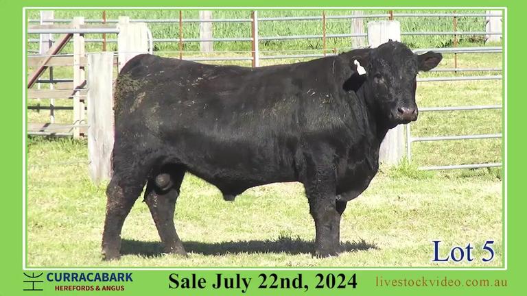 Lot 5