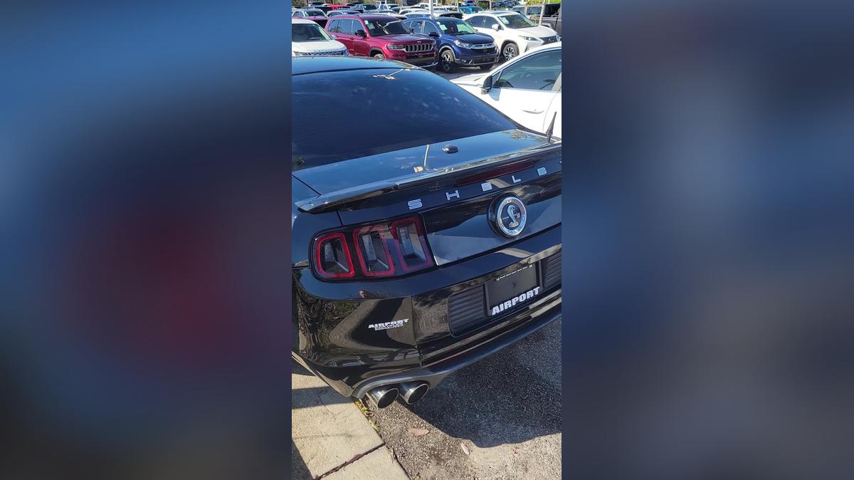 BRUCE - SHELBY GT500