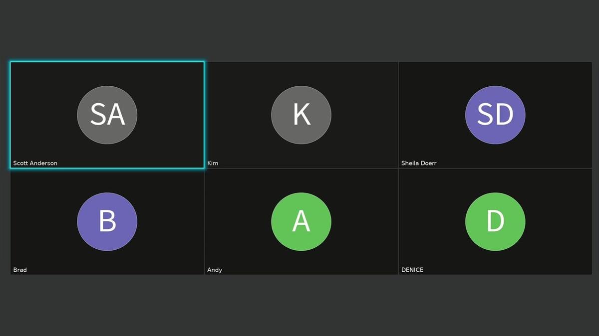 Scott_Anderson_video_meeting_2025-01-23_Q&amp;A